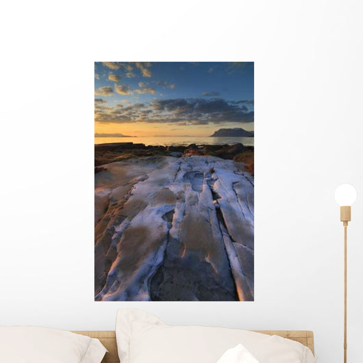 Summer Evening Looking out Wall Decal