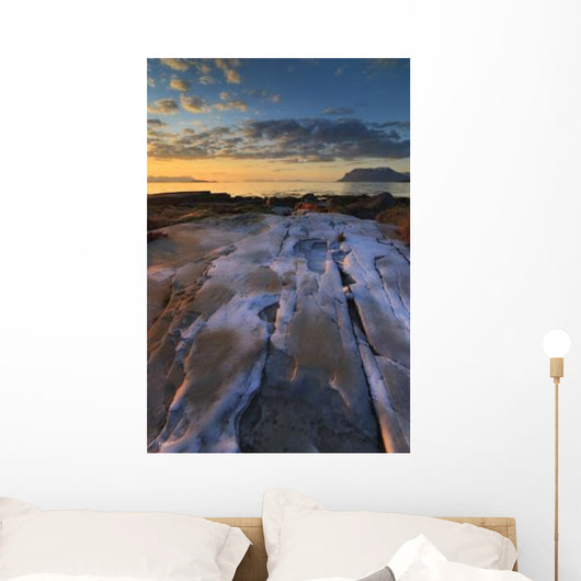 Summer Evening Looking out Wall Decal