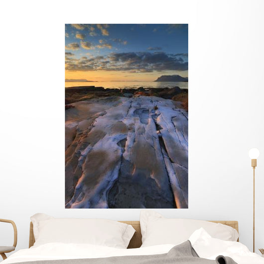 Summer Evening Looking out Wall Decal