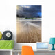 Waves Washing Back to Wall Decal