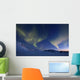 Aurora Borealis over Skittendalen Wall Decal