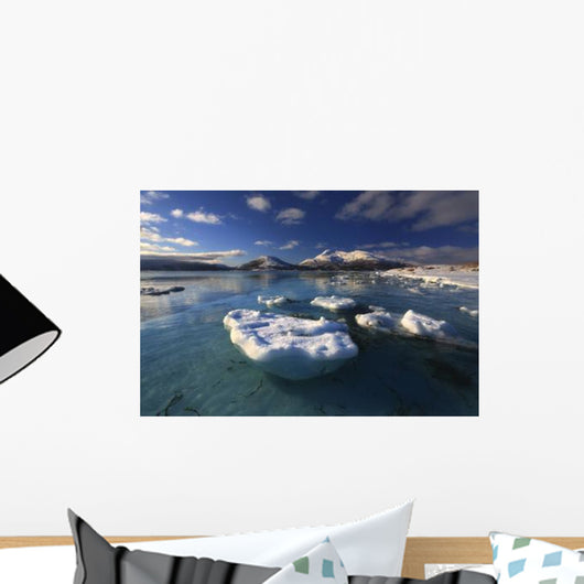 Winter Looking out Tjeldsundet Wall Decal