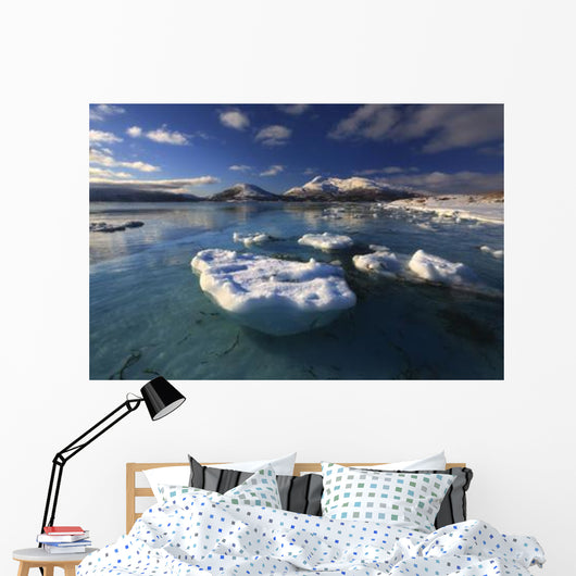 Winter Looking out Tjeldsundet Wall Decal