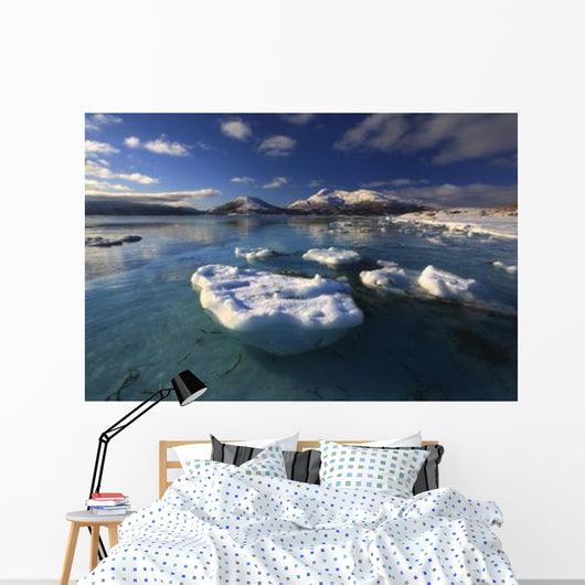 Winter Looking out Tjeldsundet Wall Decal