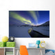 Aurora Borealis over Skittendalen Wall Decal Design 3
