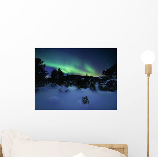 Aurora Borealis over Forramarka Wall Decal