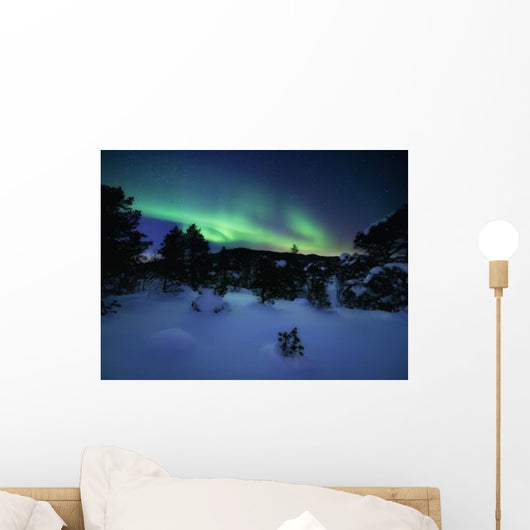 Aurora Borealis over Forramarka Wall Decal