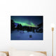 Aurora Borealis over Forramarka Wall Decal