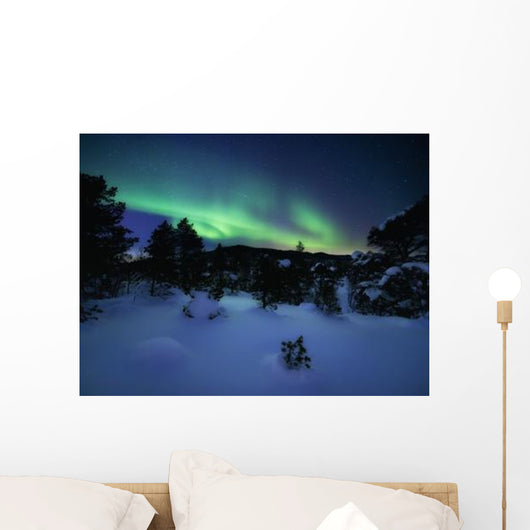 Aurora Borealis over Forramarka Wall Decal