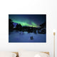 Aurora Borealis over Forramarka Wall Decal