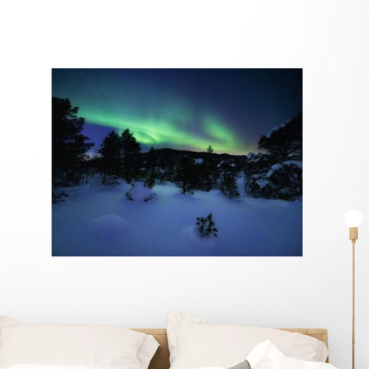 Aurora Borealis over Forramarka Wall Decal