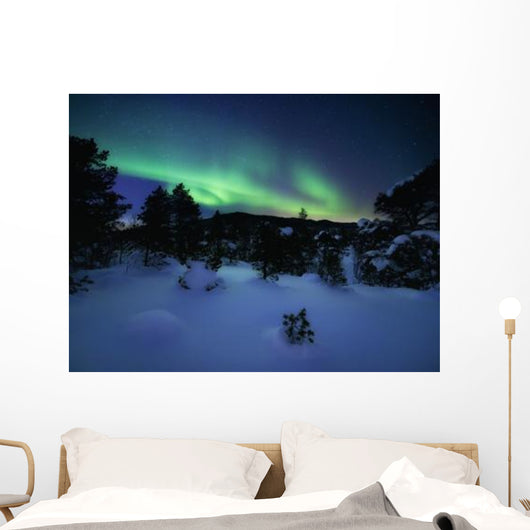 Aurora Borealis over Forramarka Wall Decal