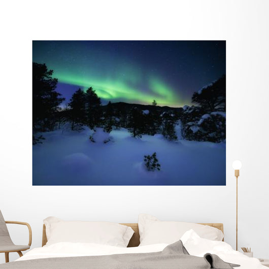 Aurora Borealis over Forramarka Wall Decal