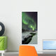 Aurora Borealis over Bla Wall Decal