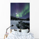 Aurora Borealis over Blafjellelva Wall Decal Design 2