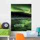 Aurora Borealis Reflects off Wall Decal