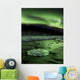 Aurora Borealis Reflects off Wall Decal