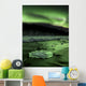 Aurora Borealis Reflects off Wall Decal