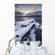 Cold Morning Grovfjorden Troms Wall Decal