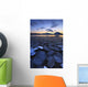 Ice Flakes Drifting towards Wall Decal