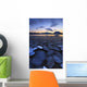 Ice Flakes Drifting towards Wall Decal