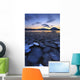 Ice Flakes Drifting towards Wall Decal