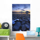 Ice Flakes Drifting towards Wall Decal