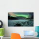 Aurora Borealis over Sandvannet Wall Decal