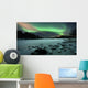 Aurora Borealis over Sandvannet Wall Decal
