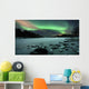 Aurora Borealis over Sandvannet Wall Decal