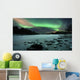 Aurora Borealis over Sandvannet Wall Decal