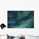 Aurora Borealis over Sandstrand Wall Decal