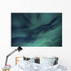 Aurora Borealis over Sandstrand Wall Decal