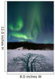 Aurora Borealis over Sandvannet Wall Decal Design 3