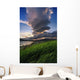 Giant Stacked Lenticular Cloud Wall Decal