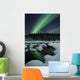 Aurora Borealis over Tennevik Wall Decal