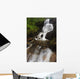 Roasto Falls Nordland County Wall Decal