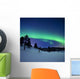 Aurora Borealis and Shooting Wall Decal