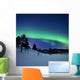 Aurora Borealis and Shooting Wall Decal