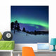 Aurora Borealis and Shooting Wall Decal