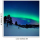 Aurora Borealis and Shooting Wall Decal