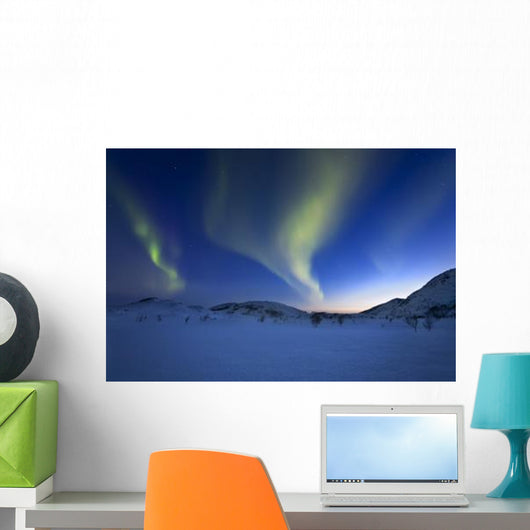Aurora Borealis over Skittendalen Wall Decal