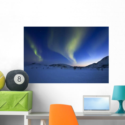 Aurora Borealis over Skittendalen Wall Decal