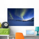 Aurora Borealis over Skittendalen Wall Decal