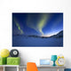 Aurora Borealis over Skittendalen Wall Decal