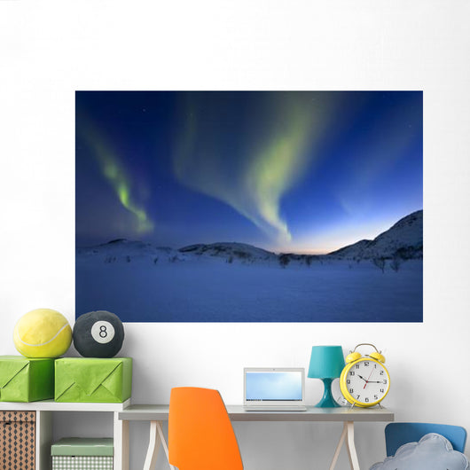 Aurora Borealis over Skittendalen Wall Decal