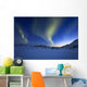 Aurora Borealis over Skittendalen Wall Decal
