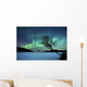 Aurora Borealis over Sandvannet Wall Decal Design 1