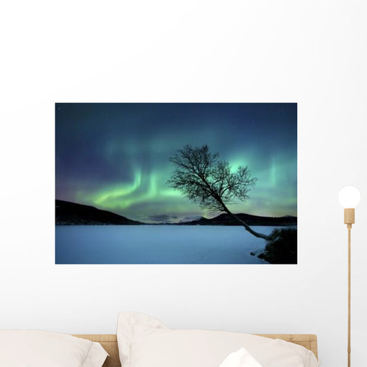 Aurora Borealis over Sandvannet Wall Decal Design 1