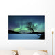 Aurora Borealis over Sandvannet Wall Decal Design 1